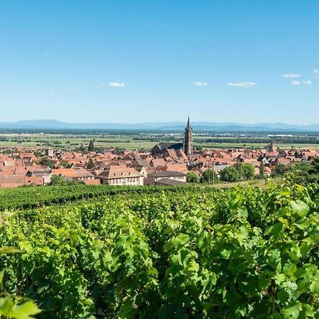 La Grange A Emile Villa Dambach Dış mekan fotoğraf