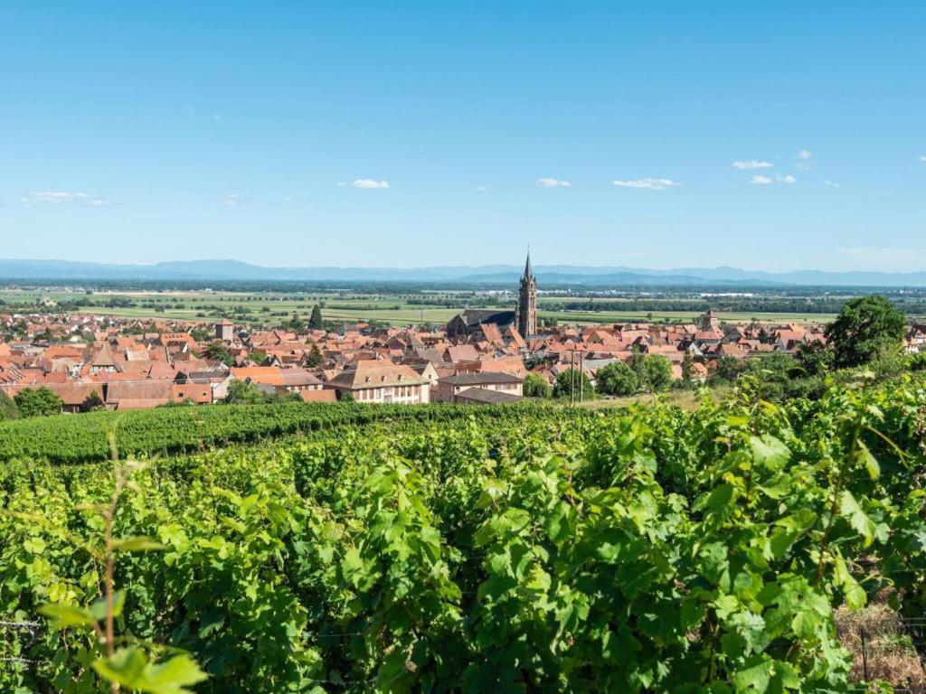 La Grange A Emile Villa Dambach Dış mekan fotoğraf